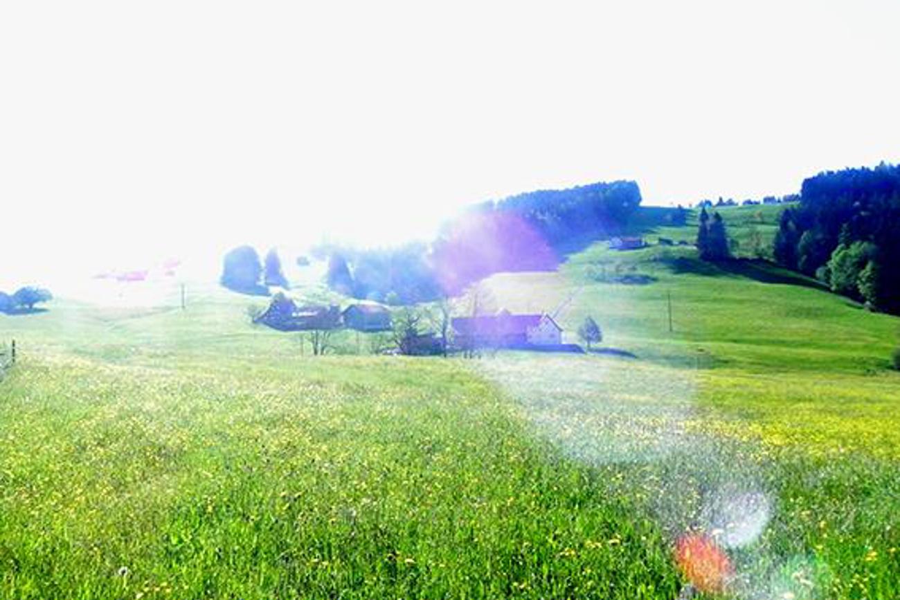 Raum, Licht, Natur - Lebensqualität pur.