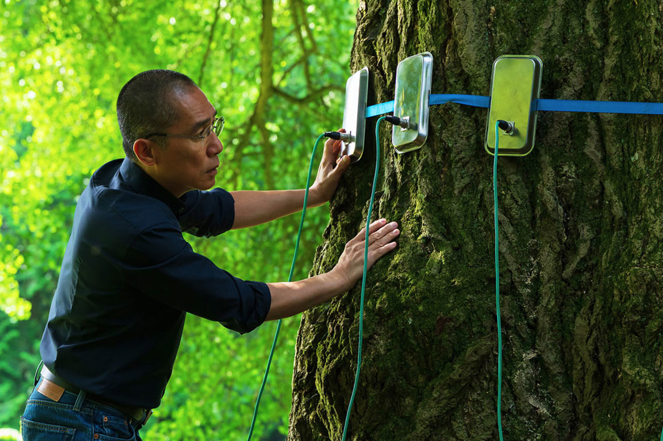 Der Neurowissenschafter Tony will die Energieströme eines Ginkgos messen. | Foto: Lenke Szilágyi/Pandora Film
