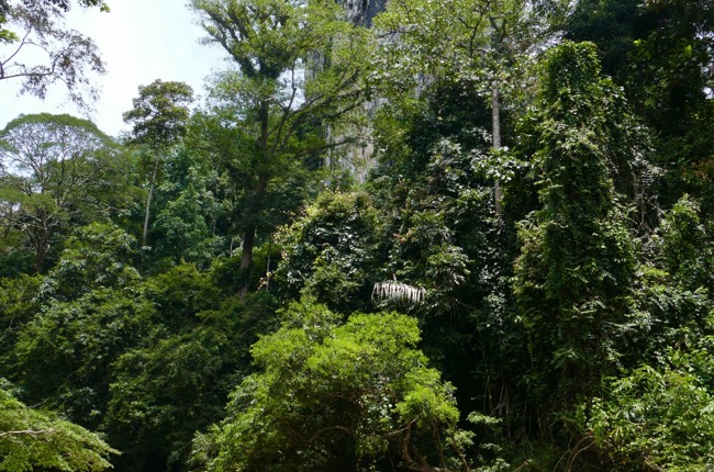 Batu Punggul 220 M hoch Batu Punggul 220 M hoch