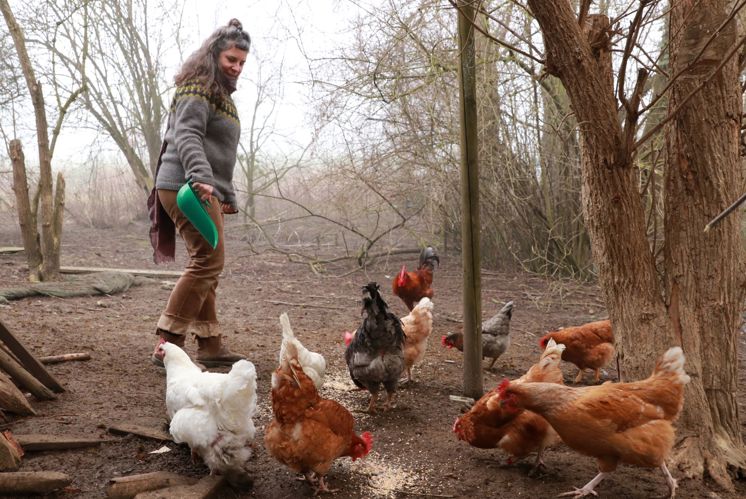Was das Huhn mit Ostern zu tun hat
