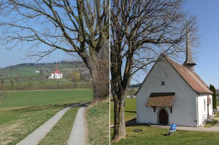 Rettung des Kapellenwegs