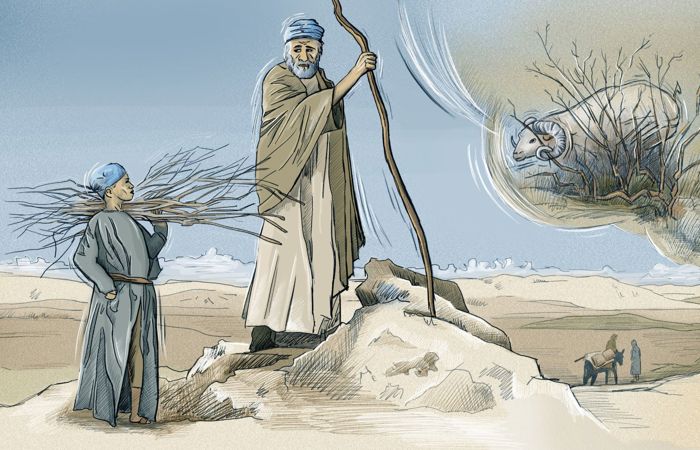 Krass auf die Probe gestellt