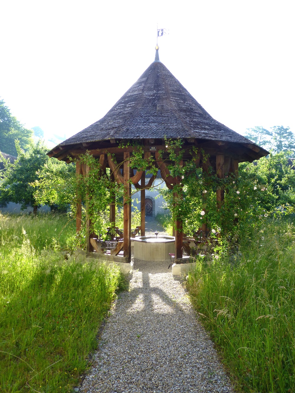 P1040369_bearbeitet.jpg (7)