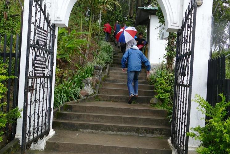 Todesmarsch im Regenwald