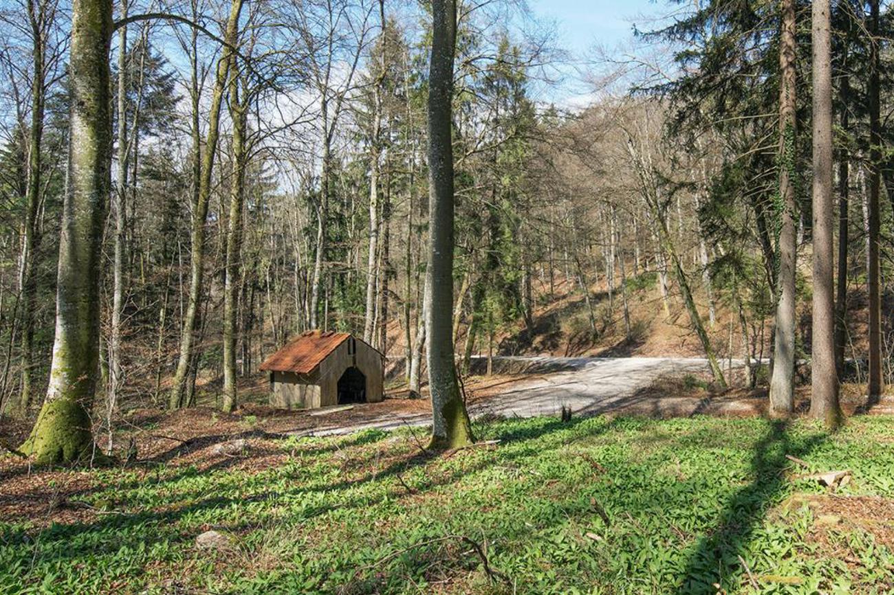 Die Täuferhütte in einer Waldlichtung. |Naturpark Schaffhausen
