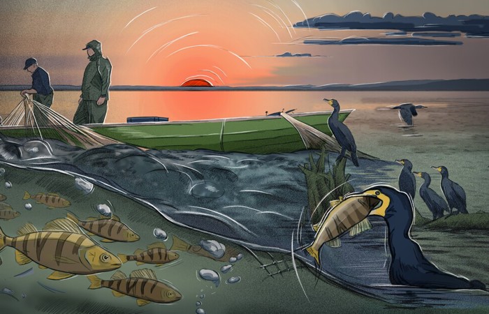Von Fischern und Fischen