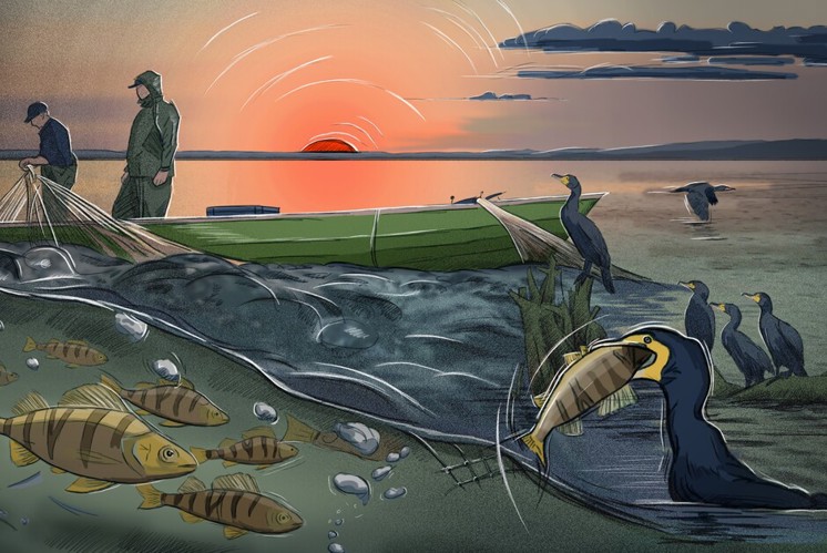 Von Fischern und Fischen
