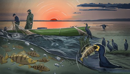 Von Fischern und Fischen