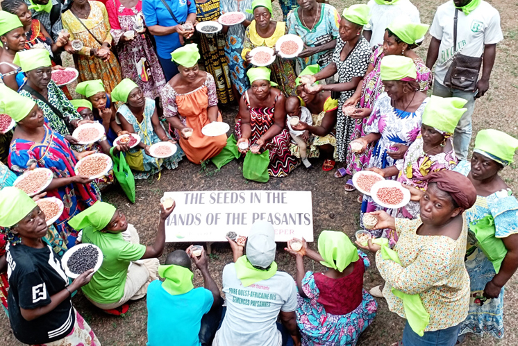 «Saatgut ist ein Gemeingut»