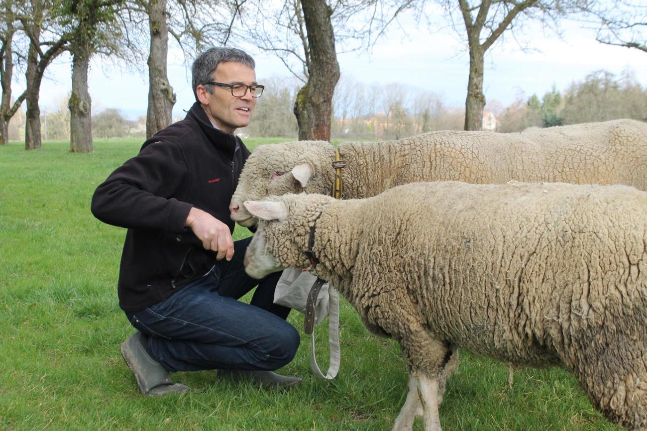 Hobby-Schafhalter Urs Laib findet das Bild des Osterlamms kraftvoll. Aber noch stärker findet er ein anderes. (Bild: Roman Salzmann)
