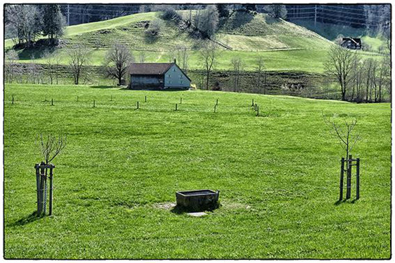 Nein, das ist nicht Berlin: Idylle in Bühler | Foto: sy