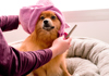 Tiere und wir