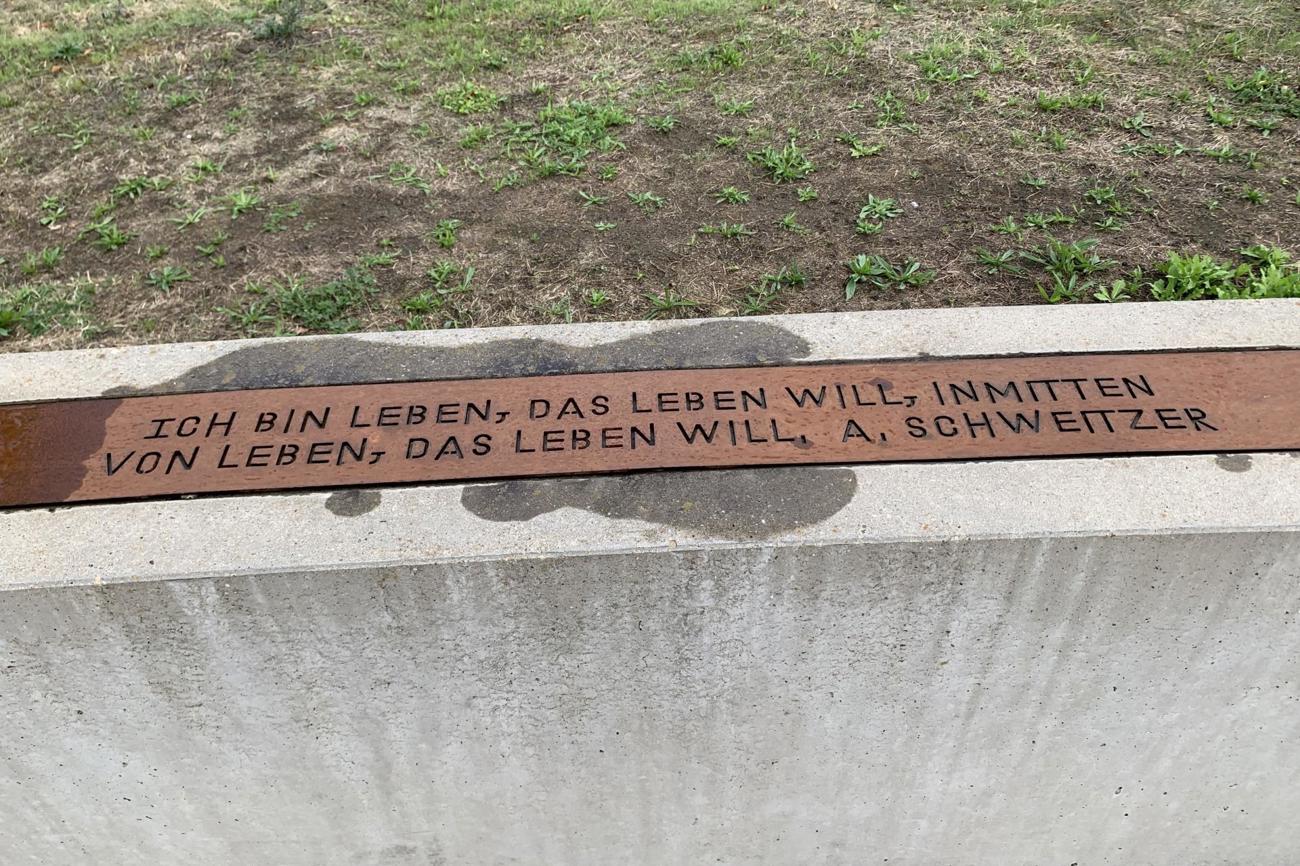 Eine Weisheit vom Urwalddoktor und Theologen Albert Schweitzer