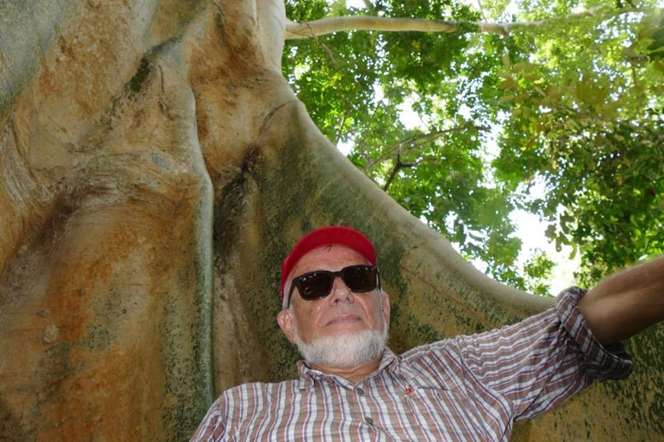 Fredi Hirt vor einem Urwaldriesen - beide sind aus hartem, aber schönem Holz.