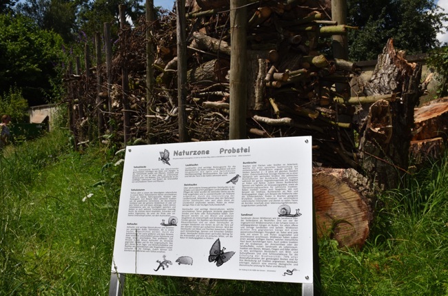 Totholzhecke mit Infotafel. (Bild: Manuel Ditthardt) Totholzhecke mit Infotafel. (Bild: Manuel Ditthardt)