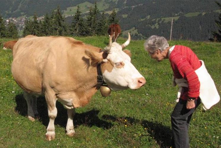 «Die schöne Natur erleben»