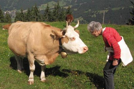 «Die schöne Natur erleben»