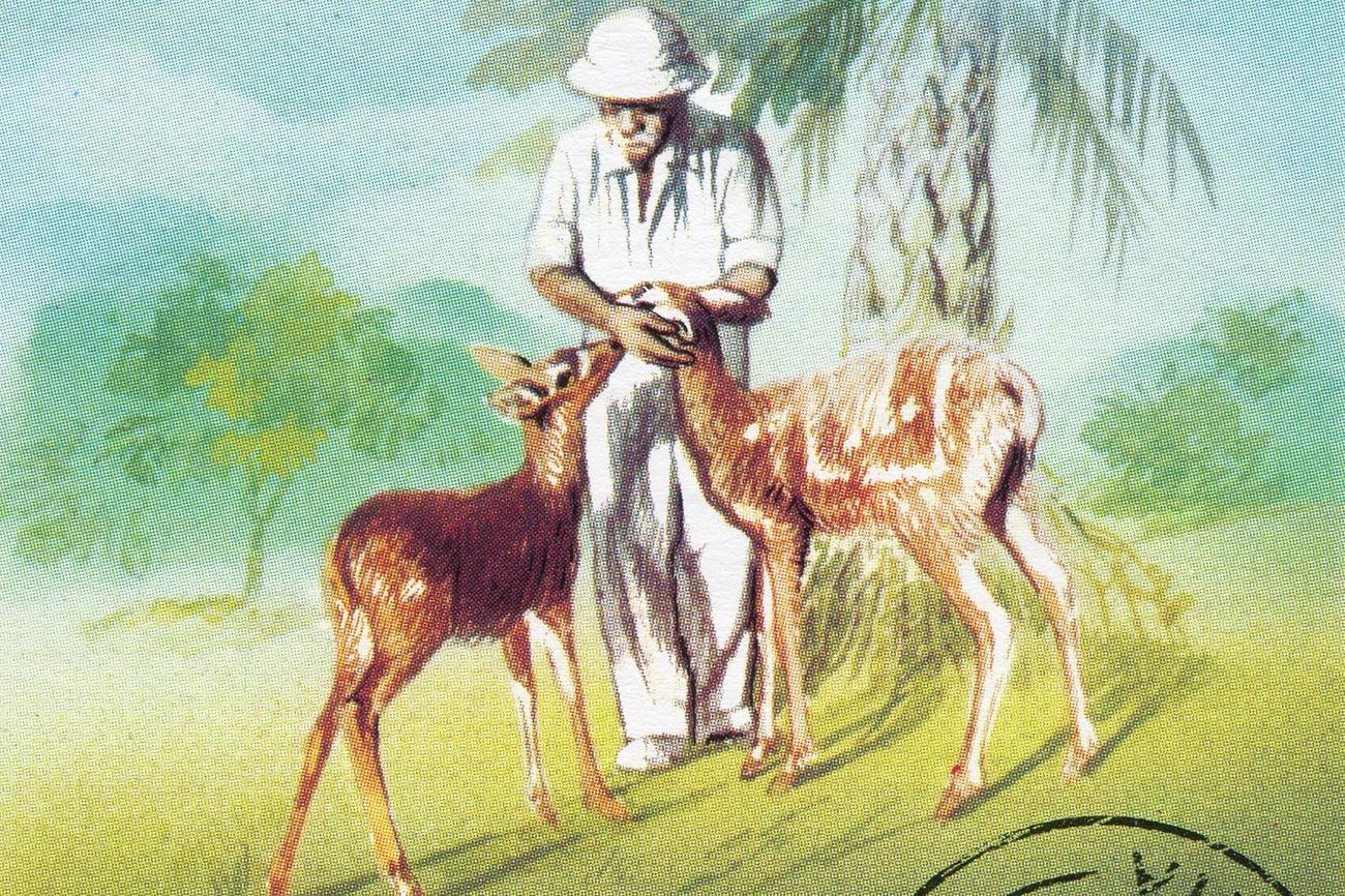 Albert Schweitzer war überzeugter Vegetarier, denn: «Alles Töten ist Grund für Trauer und Schuld.» (Bild: Adobe Stock / rook76)
