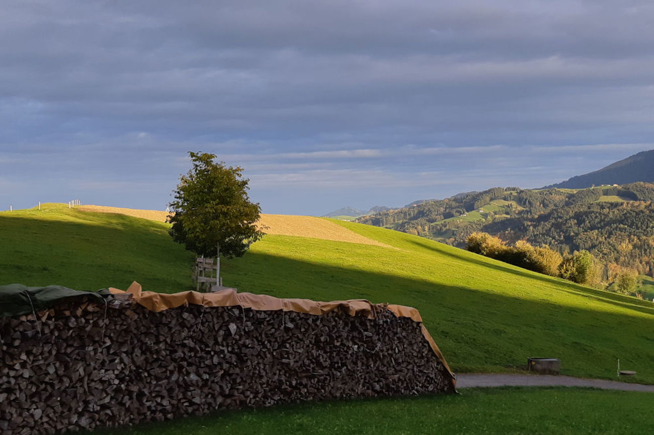 Im flachen Morgenlicht fliessen Himmel und Erde ineinander über. Foto: Markus Grieder Im flachen Morgenlicht fliessen Himmel und Erde ineinander über. Foto: Markus Grieder