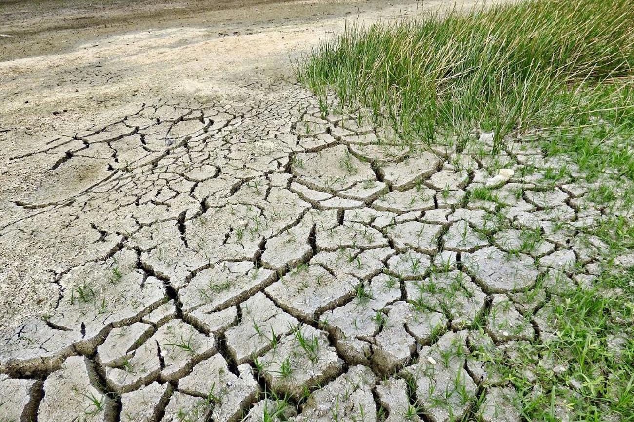 Dürren bringen Hunger und Elend über Millionen Menschen und treten durch die Erderwärmung immer häufiger auf. Pixabay