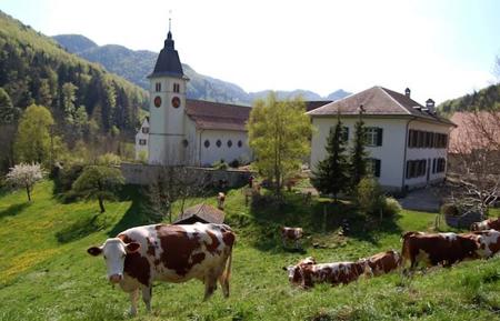 Neues Leben  im Kloster Beinwil